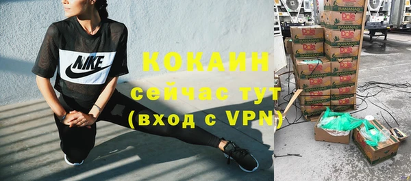 тгк Богородицк