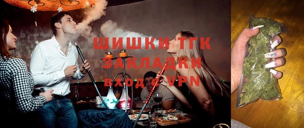 тгк Богородицк