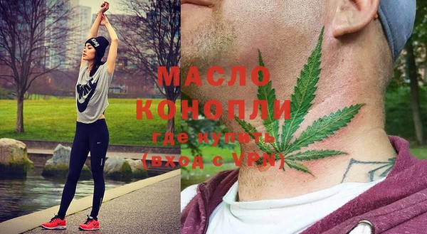 тгк Богородицк